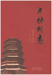 辛坊村志（应县）