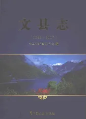 文县志（1989-2007）