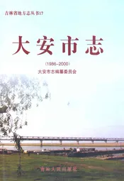 大安市志(1986-2000)