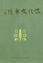 沈阳市文化志