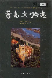 青岛文物志