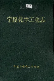 宁波化学工业志