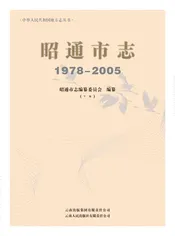 昭通市志 （1978-2005）下册