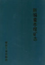 新编童亭煤矿志(1989-2009)