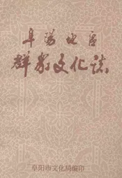 阜阳地区群众文化志