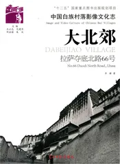 中国白族村落影像文化志：大北郊