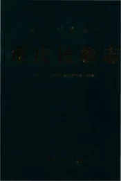 重庆民族志