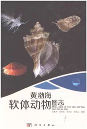 黄渤海软体动物图志