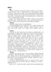 吉林四平市：东方马德里(3)