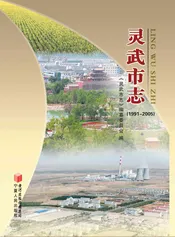 灵武市志（1991-2005）