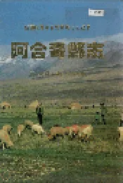 阿合奇县志