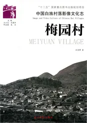 中国白族村落影像文化志：梅园村