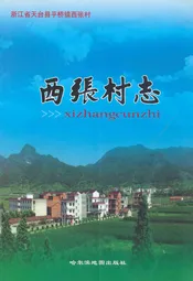 西张村志