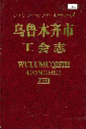 乌鲁木齐市工会志