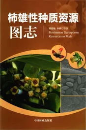 柿雄性种质资源图志