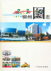 柳州图志 （2003）