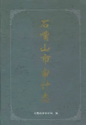 石嘴山审计志