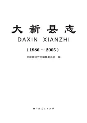 大新县志(1986-2005)