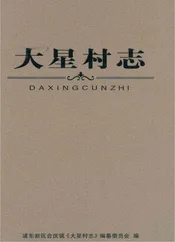 大星村志
