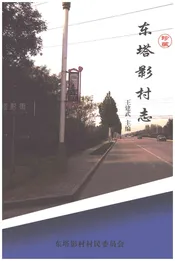 东塔影村志