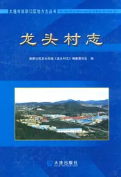 龙头村志