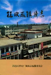 桦皮厂镇续志