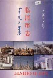 临河市志