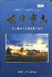 喀什市志