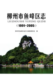 柳州市鱼峰区志(1991-2005)