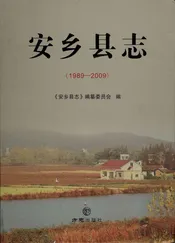安乡县志（1989—2009）