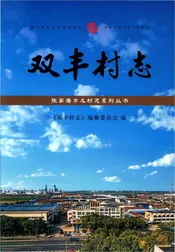 双丰村志