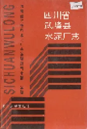 四川省武隆县水泥厂志