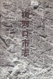 梅河口市志