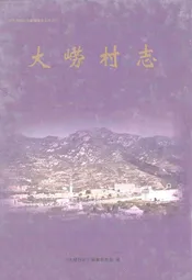大崂村志
