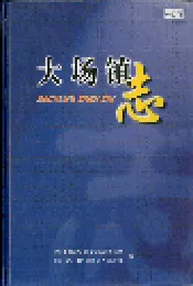 大场镇志