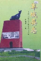 阜城县志