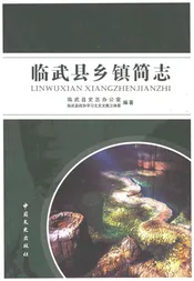临武县乡镇简志