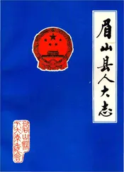 眉山县人大志