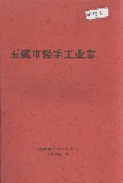 玉溪市轻手工业志