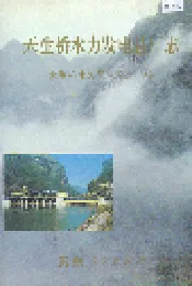 天生桥水利发电总厂志