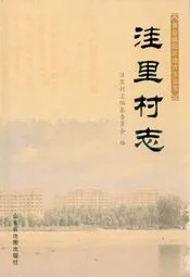 洼里村志