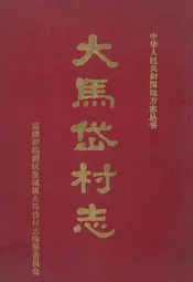 大马岱村志