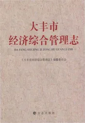 大丰市经济综合管理志
