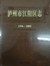 江阳区志（1996-2005）
