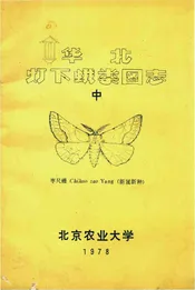 华北灯下娥类图志（中）