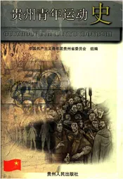 贵州青年运动史