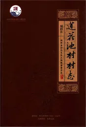莲花池村志（城固）