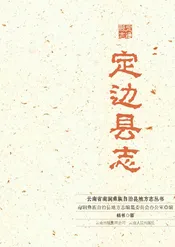 定边县志校注