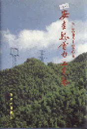 安吉县电力工业志