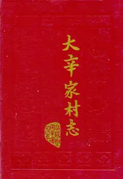 大辛家村志